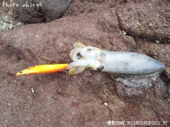 �����ꥤ��