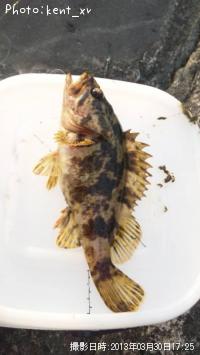 �����Υ���Х�