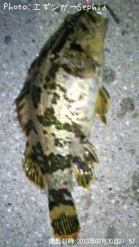 ¥¿¥±¥Î¥³¥á¥Ð¥ë