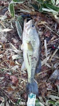 ¥Ö¥é¥Ã¥¯¥Ð¥¹