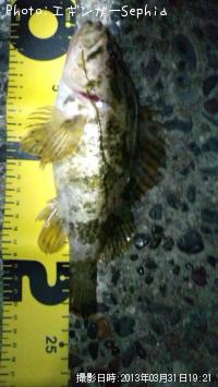 �����Υ���Х�