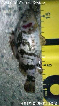 ¥¿¥±¥Î¥³¥á¥Ð¥ë