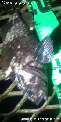 ���ץ�������Х�