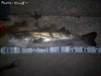 �����Х�