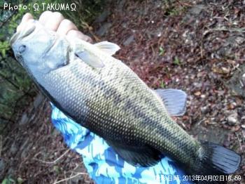 ¥Ö¥é¥Ã¥¯¥Ð¥¹