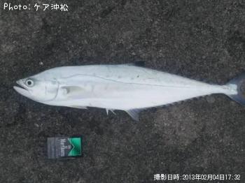 ΰ�奤�����ĥ�