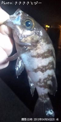 ���ꥢ��Х�