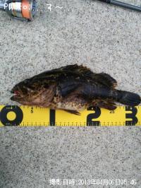 ¥¿¥±¥Î¥³¥á¥Ð¥ë