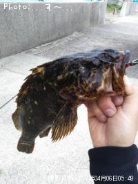 ¥¿¥±¥Î¥³¥á¥Ð¥ë