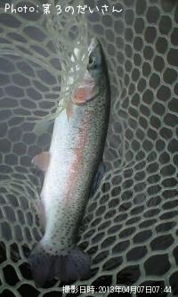 ¥ì¥¤¥ó¥Ü¡¼¥È¥é¥¦¥È