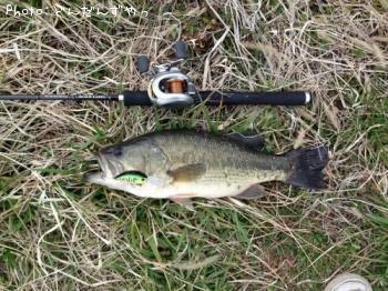 �֥�å��Х�