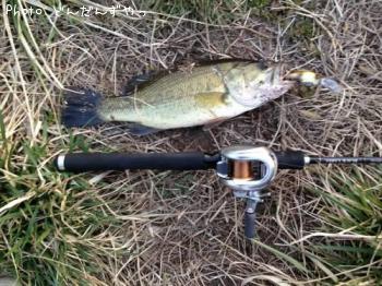 �֥�å��Х�