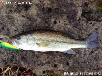 ¥Ö¥é¥Ã¥¯¥Ð¥¹