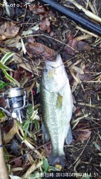 �֥�å��Х�