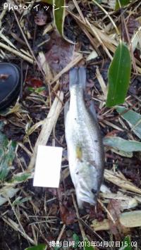 ¥Ö¥é¥Ã¥¯¥Ð¥¹