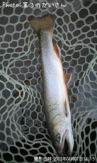 ¥¸¥ã¥¬¡¼¥È¥é¥¦¥È