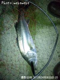 �����Х�