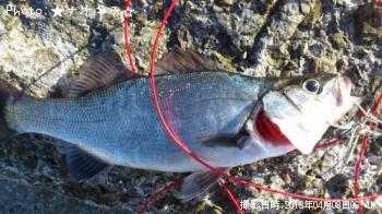 �ҥ饹����