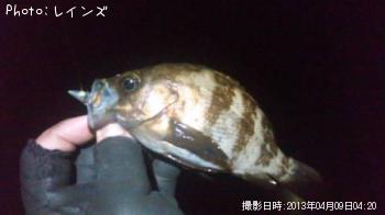 ¥á¥Ð¥ë¡õ¥à¥é¥½¥¤