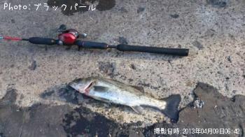 �����Х�