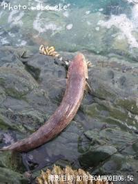 �����Х�