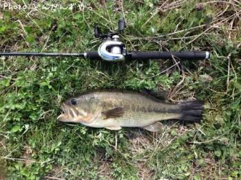 �֥�å��Х�