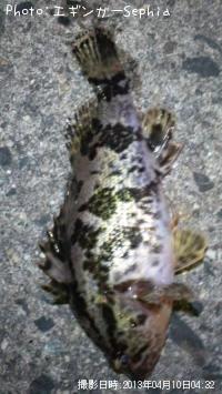 �����Υ���Х�