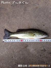 �֥�å��Х�