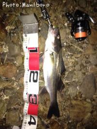 �����Х�