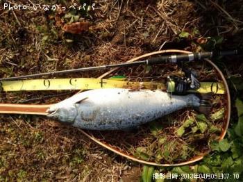 ¥µ¥¯¥é¥Þ¥¹