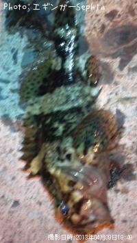 ¥¿¥±¥Î¥³¥á¥Ð¥ë