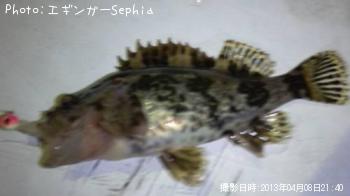 �����Υ���Х�