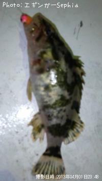 �����Υ���Х�