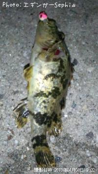 �����Υ���Х�