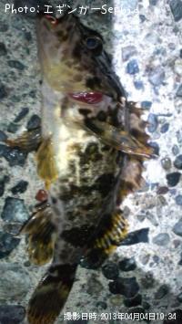 �����Υ���Х�