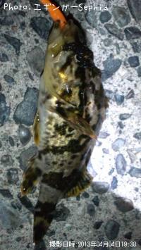 �����Υ���Х�