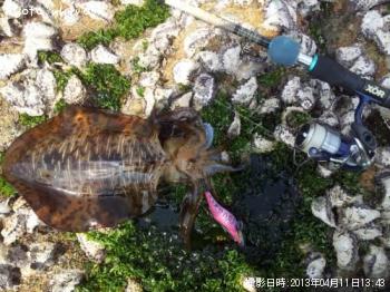 �����ꥤ��