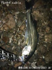 �����Х�