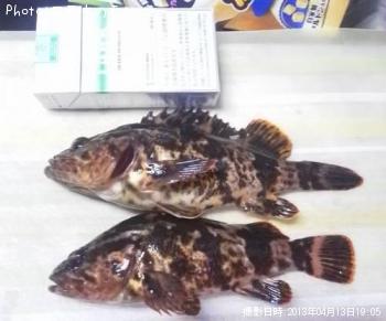 �����Υ���Х�