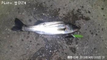 �����Х�