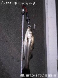 �����Х�