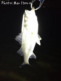 �����Х�