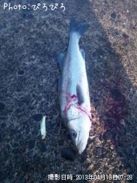 �����Х�