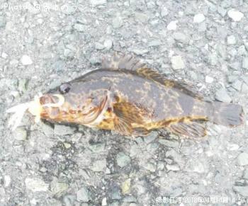 �����Υ���Х�