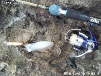 �����ꥤ��