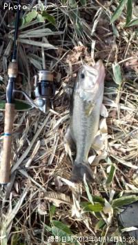 ¥Ö¥é¥Ã¥¯¥Ð¥¹