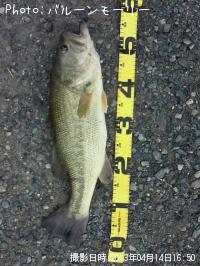 ¥Ö¥é¥Ã¥¯¥Ð¥¹