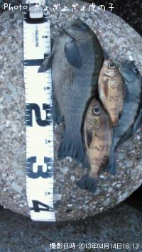 �᥸�ʡ���Х�