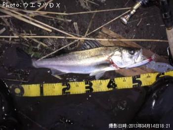 �����Х�