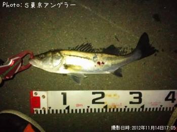 �����Х�